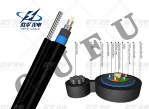 Fibar8 GYTC8S